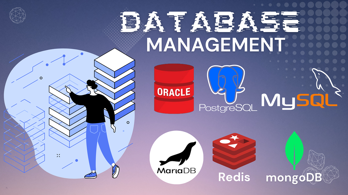 Database Management (SQL)